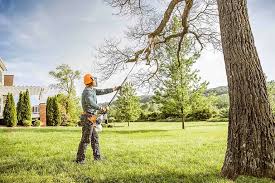 Best Lawn Dethatching  in Franklin, CA